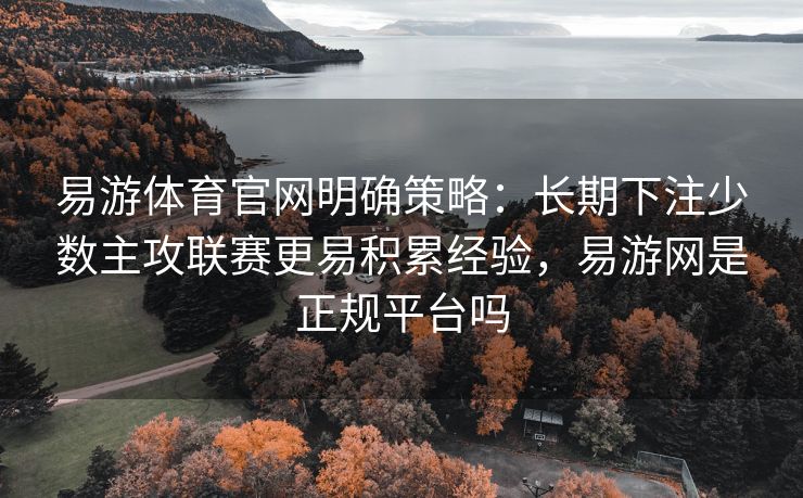 易游体育官网明确策略：长期下注少数主攻联赛更易积累经验，易游网是正规平台吗